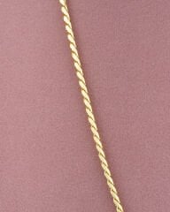 VİP BURGU 14K ZİNCİR KOLYE